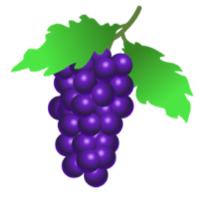 Frucht