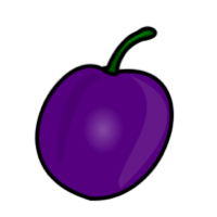 Frucht