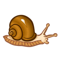 Schnecke